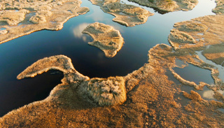 Arial view looking down a the estuary of Pamlico Sound