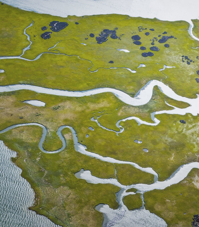 About Pamlico Capital