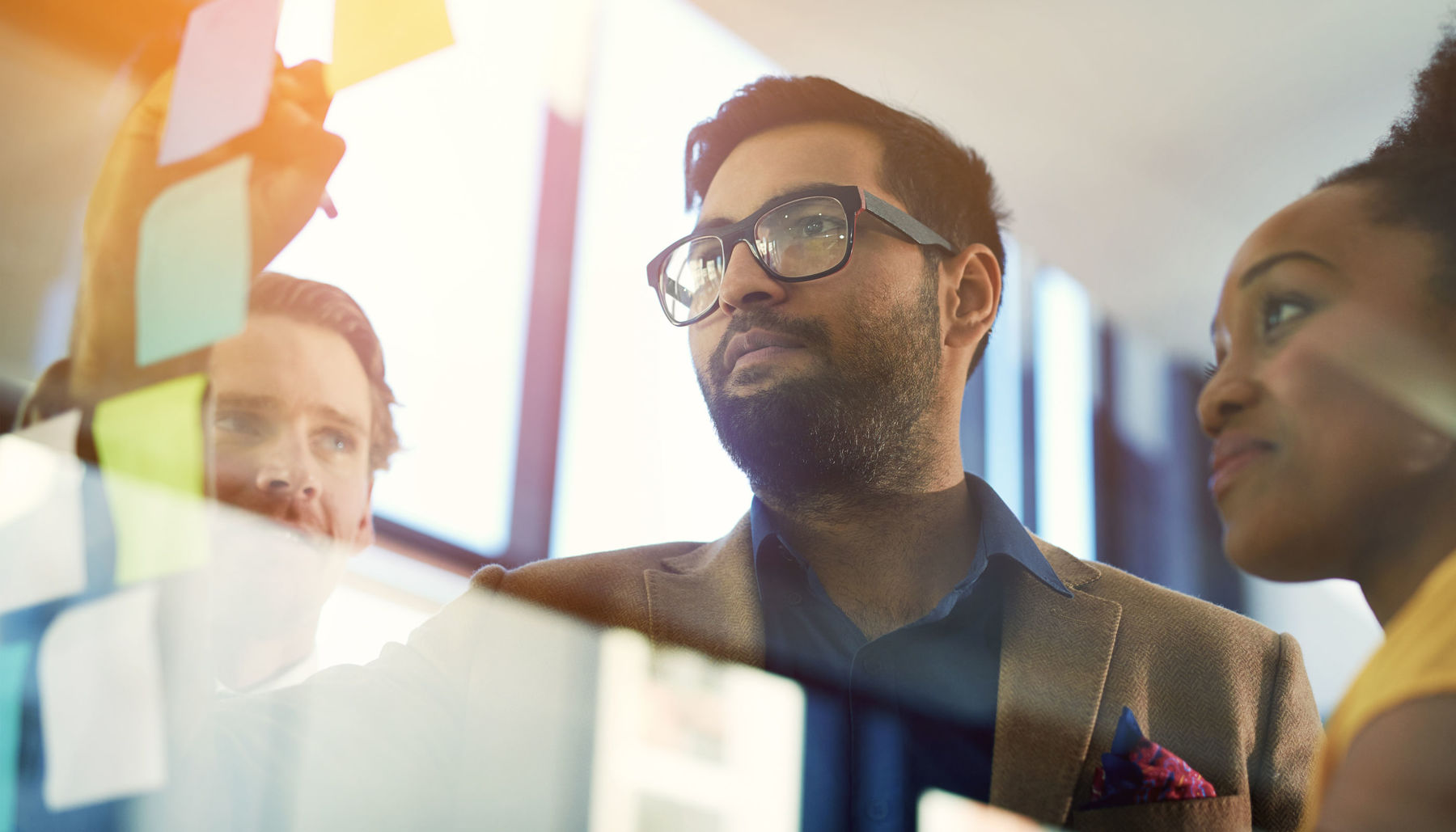 Datos Insights Companies Pamlico Capital